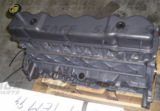 Picture of ENGINE, FORD 300 2GRV LNG BLK
