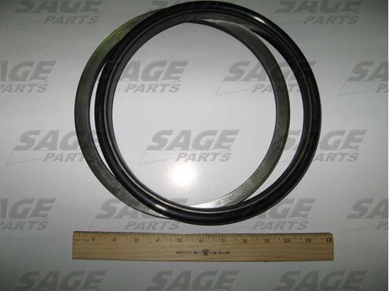 Picture of SEAL, FACE