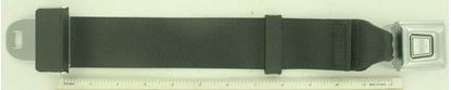 Picture of EXTENSION, SEAT BELT 24IN