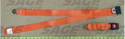 Picture of EXTENSION, SEAT BELT 24 INCH ORANGE